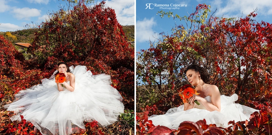 Livia & Andrei_1